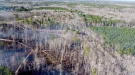 Massive Woods Fire Successfully Contained by the Fire Department in Mendenhall, MS, USA