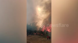 Out-of-control agricultural fires rage in northern Thailand