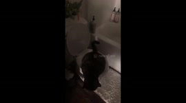 If Only She Knew How to Flush