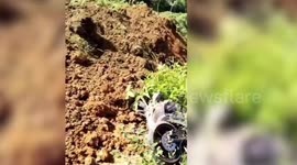 4 killed, 6 injured in landslide in eastern Indonesia