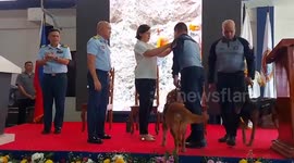 Four hero dogs given awards for helping in rescue operation at landslide site that killed 93