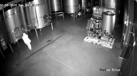 Winery thief spills 2.3 million Euros worth of wine in Spain