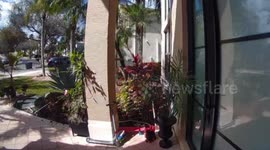 Canadian dad given fright of his life as he opens door to find opossum lurking