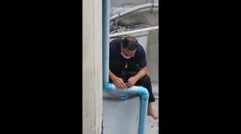 Kitten trapped in gutter pipe rescued by security guard