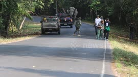 Wild elephant steals plastic cutlery from passing pickup truck