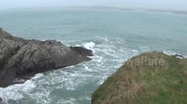 Towan  Seal , a friendly seal hiding from the storm in Towan Bay,Newquay, North Cornwall, the storm was really bad and way too rough for seals
