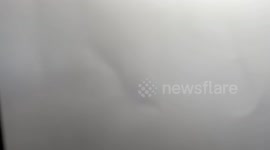 Palestine protesters hound journalist covering DR Congo rally in London