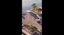 Heroic dive: Rescuer saves adventurous pup from bay plunge in Florida