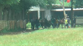 Probolinggo cattle racing practice