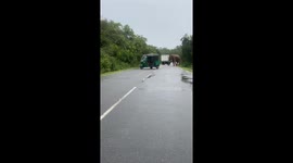 Stunting took, tuk tuk  with the crazy elephant