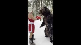 Russian boxer spars with 5-year-old tame bear in snowy Moscow forest