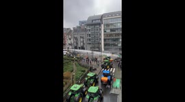 Farmers clash with police in Brussels protest over regulations and import competition