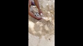 Jore the Shih Tzu delights in sand play: a beach day in Dinagat Islands, Philippines