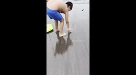 Strong Ground Swells Cause Numerous Strand Starfish on Beach