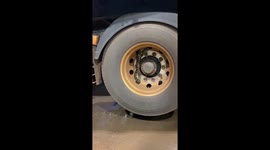 Snake Removed From Truck Tire