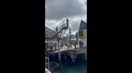 Cheering crowd offers encouragement to nervous diver in New Zealand