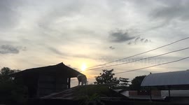 Pet Siberian Husky stands on roof to enjoy view of sunset