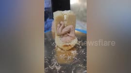 Bakery makes Mother's Day cake of pregnant mum with baby inside