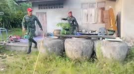 Soldiers catch huge king cobra in southern Thailand