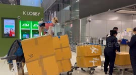 Pet dog rides boxes of luggage at airport check-in desk