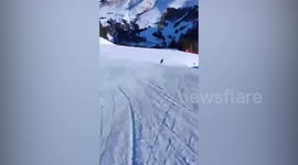 Skier chasing a wolf in Pampeago, Italy