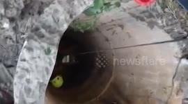 Thai rescuer rappels down well to rescue python