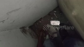 Three stray kittens trapped inside hole in wall rescued