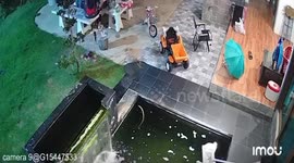 Little girl slips into pond while catching koi fish with mum