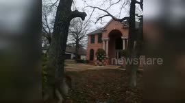 A herd of escaped goats cause a commotion in Arlington, TX, USA