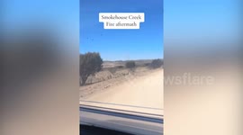 Smokehouse Creek fire aftermath: Video shows land burnt by fire and cattle with burn marks