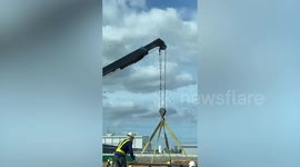 Swarm of bees converge on construction site crane