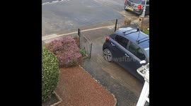 Man trips and falls face-first into the bushes *Hilarious Fail*