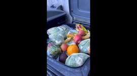 Eco-friendly savings: Unveiling the surprising benefits of dumpster diving for discarded supermarket food