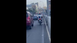 Dog Balances on Motorcycle in Busy Traffic