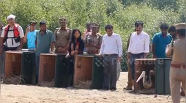 The released 10 spot-billed pelicans which were found oil soaked in the aftermath of oil spillage in Ennore Creek in South India