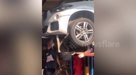 Mechanics pull rotting dead python from car engine compartment