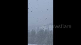 Canada: Snowfall Warning Issued As Winter Storm Hits Alberta