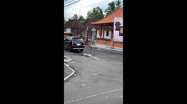 Masked Dog On A Mission