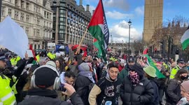 Pro-Palestine protesters gather in  Westminster day after Rishi Sunak makes statement on extremism