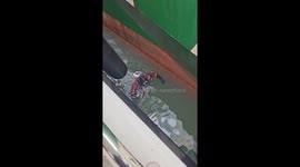 Diver between cargo ship and yacht - Most Dangerous Job in the World