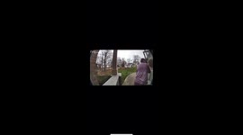 Little Dog Chases Away Mailman