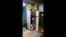 Refrigerator Hidden Door