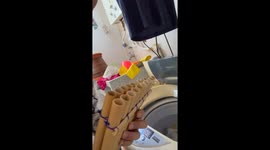 Pan Flute Duet With Washing Machine