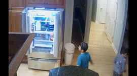 Brothers Topple Shelf Climbing on Refrigerator