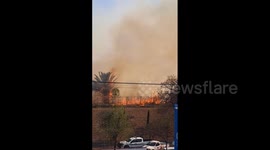Mexico: Grassland Fire Breaks Out In Naucalpan Affecting Air Quality In Nearby Areas