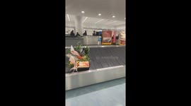 Sushi spinning round on luggage carousel baffles passengers