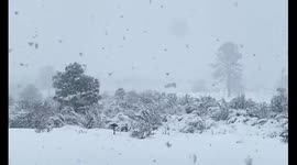 Blizzard strikes: Eastern Sierras in Nevada under heavy snowfall