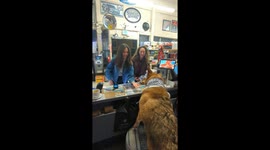 Major the dog greets customers and friends for treats