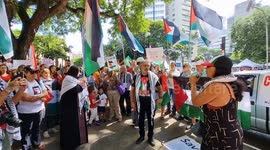Crowds Support Plaestine During Protest in Sao Paulo, Brazil