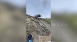 Dramatic moment tree tumbles down cliff towards walkers during landslide